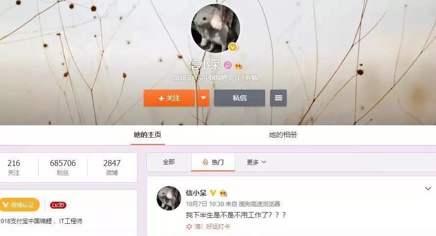 錦鯉2.jpg