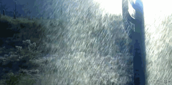 1.gif